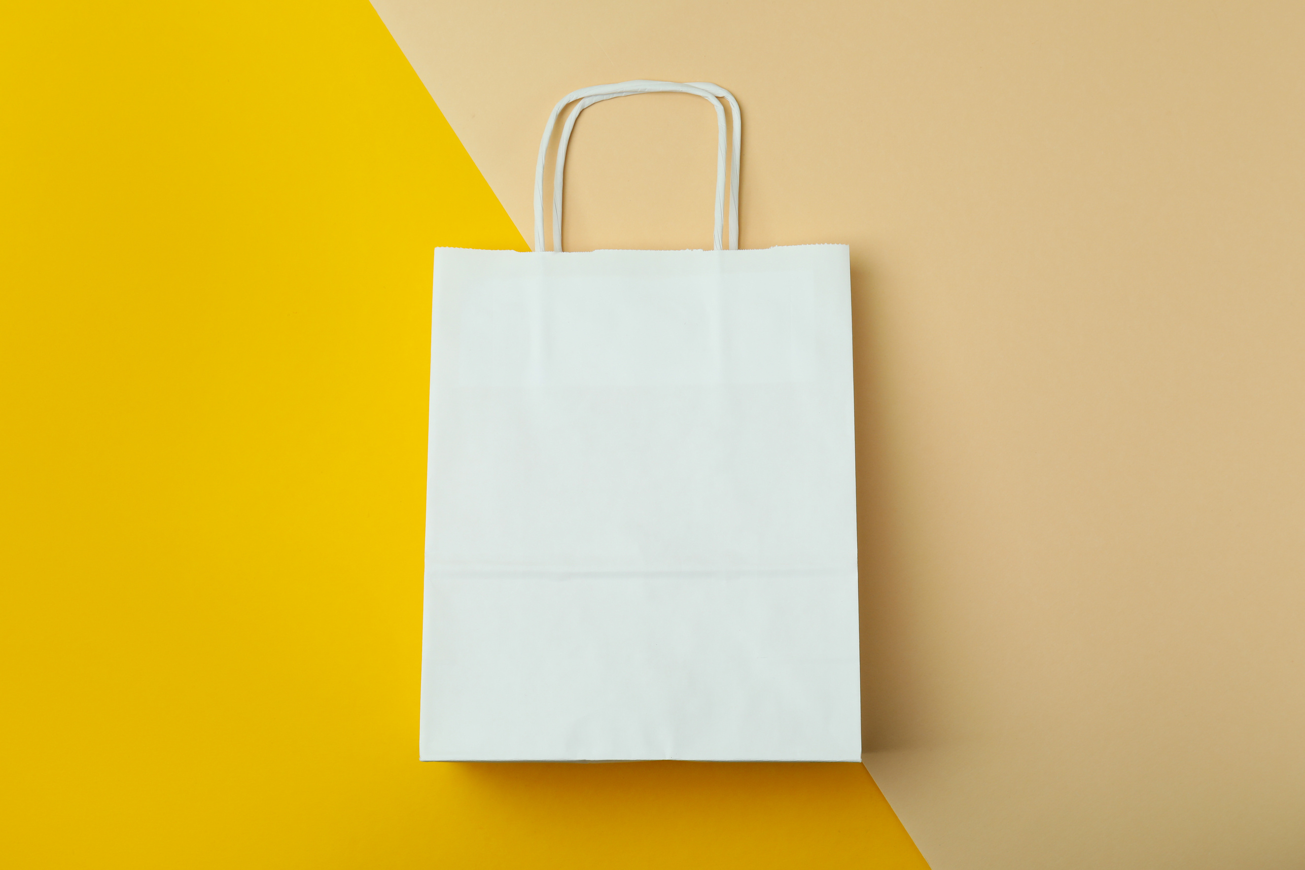 Blank paper bag on two tone background, space for text